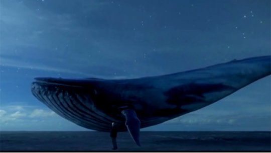 ballena azul