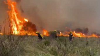 bomberos trabajan en incendio en san carlos que afecta 40 hectareas