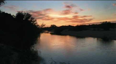 Foto: Silvia Techera