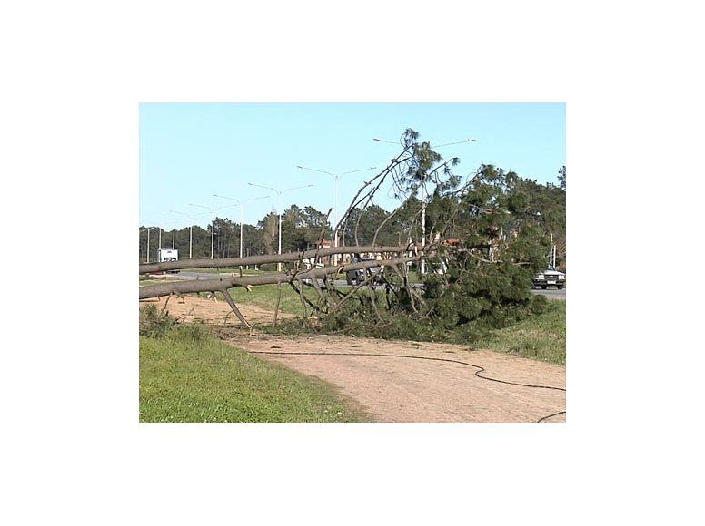 Arreglos durarán hasta 30 días en la costa canaria tras temporal