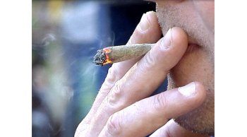 estudio afirma que consumo de marihuana ha aumentado tras legalizacion