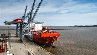 exportaciones alcanzaron los usd 852 millones en enero; 2% mas que en igual mes de 2022