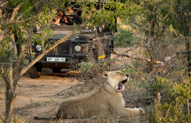 Archivo African Safari Group