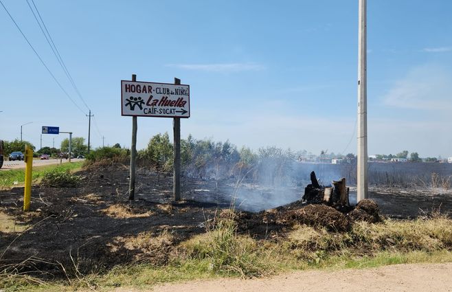 WhatsApp Image 2023-02-12 at 11.57.39.jpeg