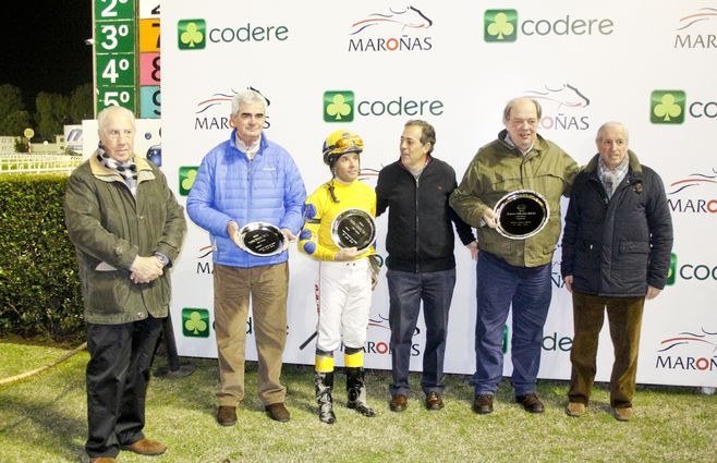 el danzarin turf (2).jpg