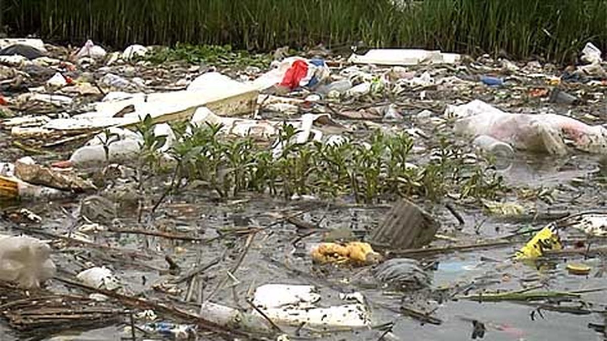 Subrayado en el arroyo Pantanoso, el más contaminado de la ciudad