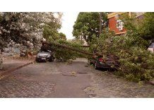 Intendencia evalúa destinar más dinero para atender daños por temporales