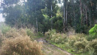 Foto: Subrayado. El lugar donde fue hallado el hombre herido, en Toledo.