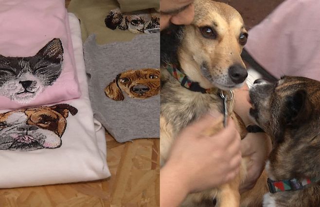emprendimiento-animales.jpg