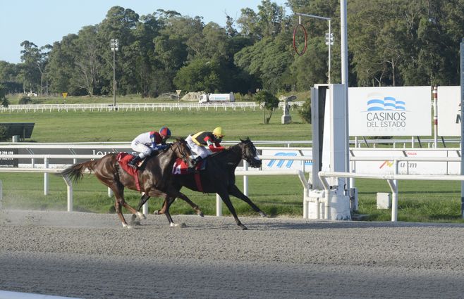 Rainha Pioneira TURF (3).JPG