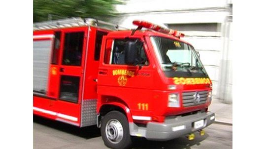 Perro quemado, empalado y colgado de un árbol en Buceo