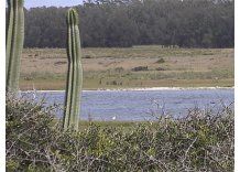 Una completa guía para saber qué se puede cazar y qué no