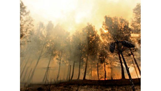Casi 2000 personas luchan para sofocar incendios en Valencia