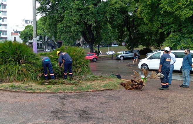 Foto: Lorena Nachajón, Subrayado.