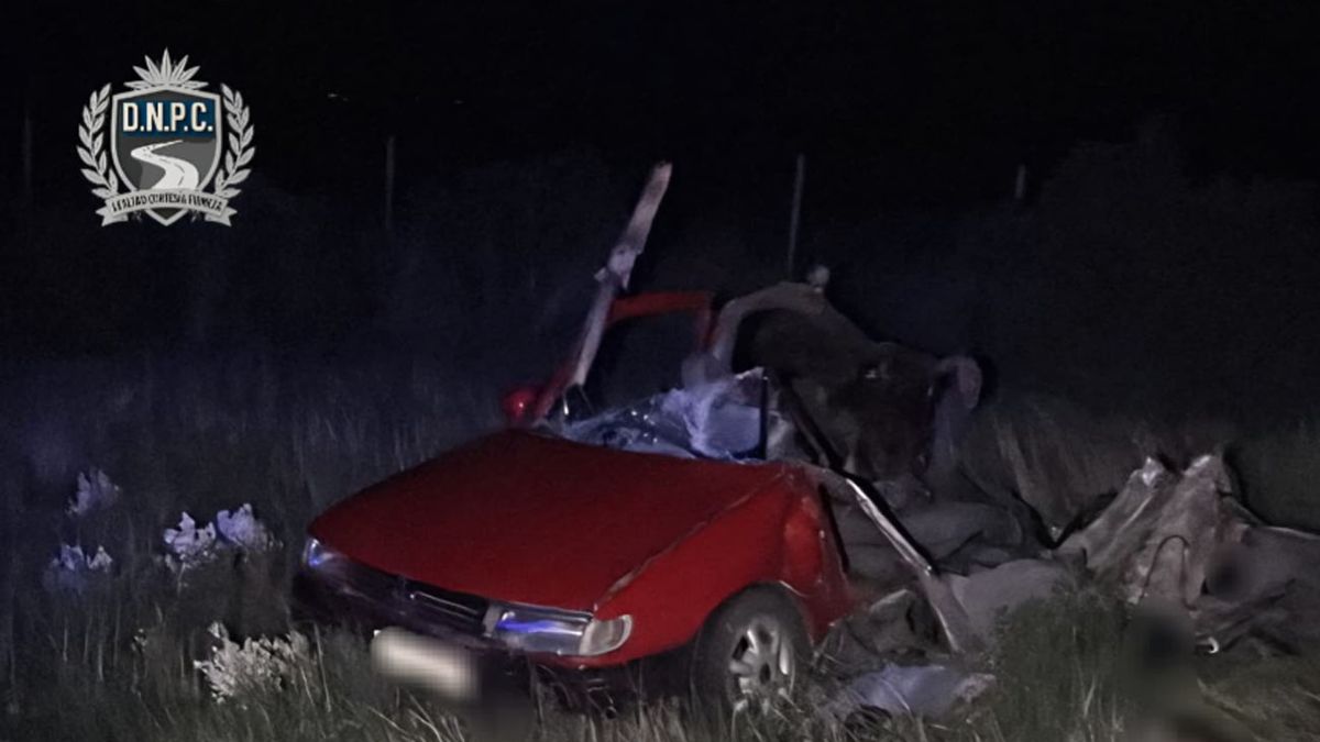 Siniestro de tránsito múltiple en Florida cobró la vida de 5 personas: 2 menores y 3 mayores