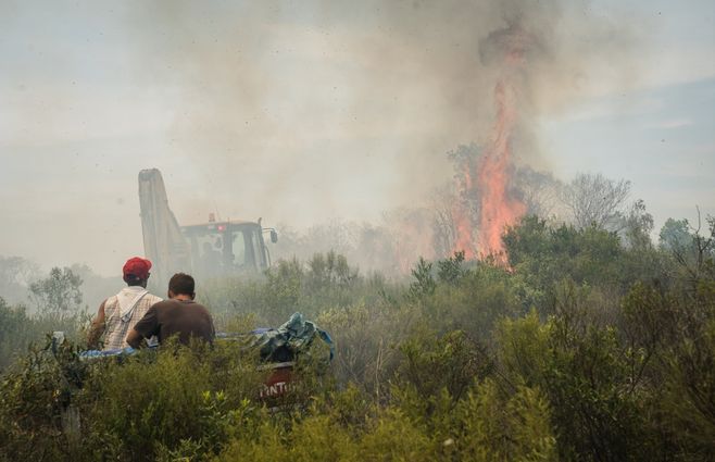 INCENDIO CERRO DEL TORO FOCO UY (9).jpeg