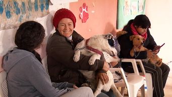 familia interespecie: abordaje medico y veterinario en barros blancos que detecto parasitos en 63% de heces caninas