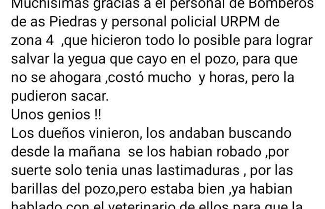 Publicación en Facebook de la propietaria de la vivienda.