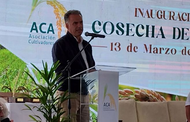 Orsi-en-cosecha-de-arroz-Treinta-y-Tres.jpg