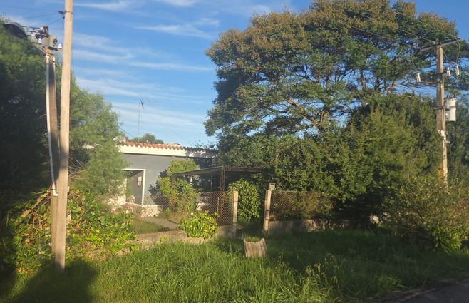 Foto: Eduardo Castro, Subrayado. Predio donde fue hallada la víctima.