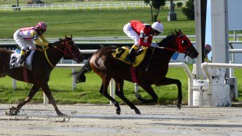 Subrayado | MICRO TURF 26 D ABR