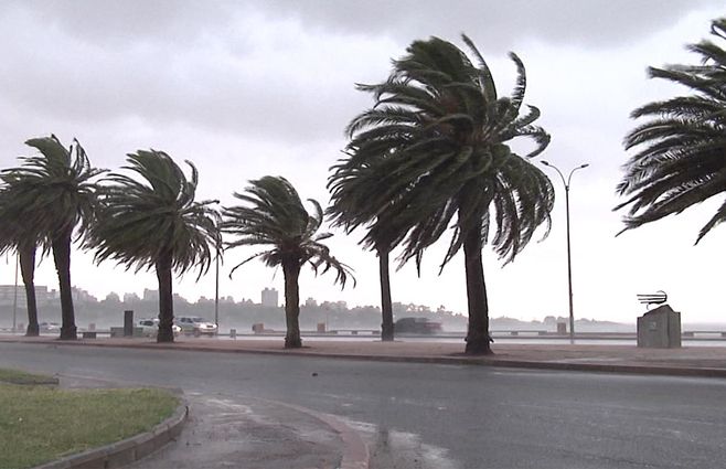 temporal-viendo-lluvia-rambla-Montevideo.jpg
