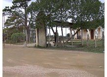 Adolescente de 17 años se suicidó en Hogar Ser de Colonia Berro