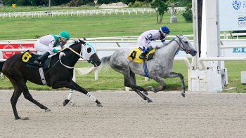 Subrayado | TURF LUNES 07 FEBRERO