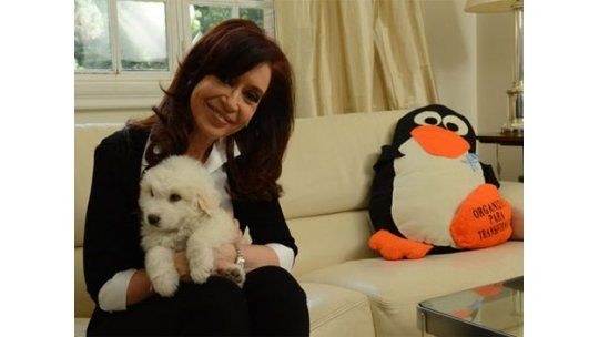 Reapareció Cristina con un perro, un pingüino peluche y sin luto
