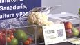 directora del inda destaco tendencia a la baja de la inseguridad alimentaria en hogares con menores de 6 anos