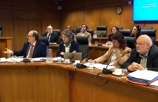 caja-profesionales-parlamento.jpg