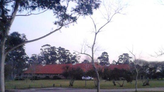 haras paraná guazú