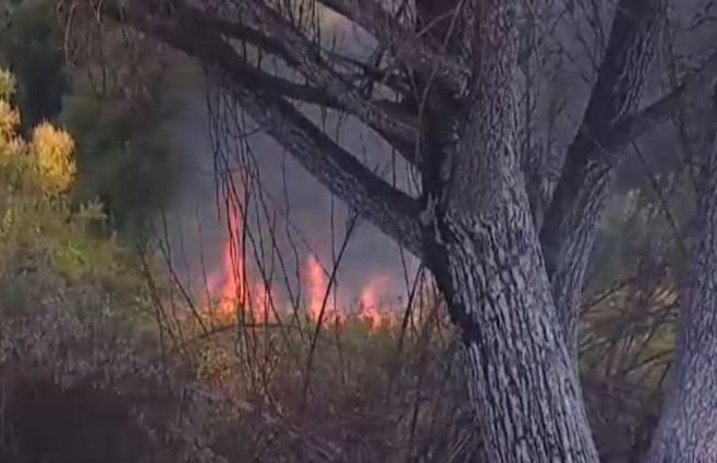incendio-mendoza-montevideo