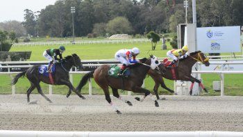 Subrayado | MICRO TURF 13 D SET