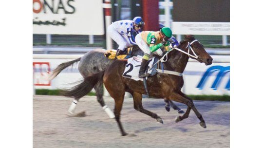 No te pierdas las carreras de Turf de este fin de semana