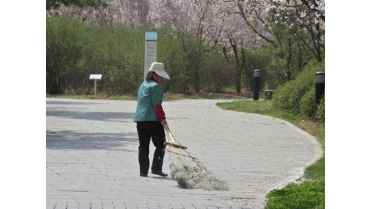 Millonaria trabaja de barrendera para dar el ejemplo a sus hijos