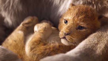 Subrayado | CINE EL REY LEON