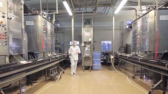 productores advierten que conflicto en sector lacteo redujo las ventas un 20%