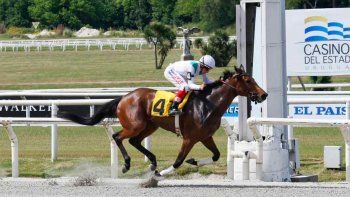 Subrayado | 9 MICRO TURF 18 D NOV