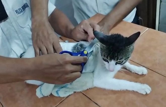 Foto: Handout / Costa Ricas Ministry of Peace and Justice / AFP.