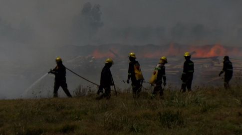 Incendio forestal. Foto: archivo Subrayado.