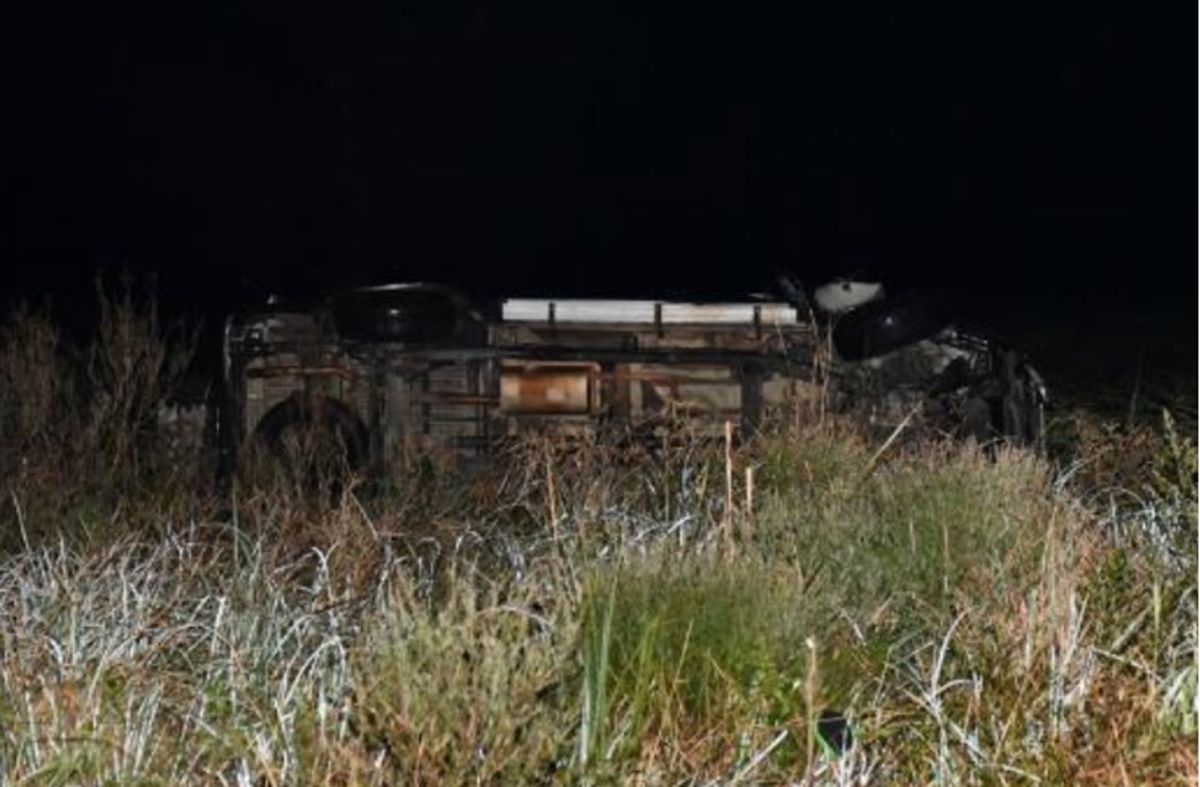 Animales sueltos en ruta 15 causaron siniestro de tránsito; conductora sufrió politraumatismos varios