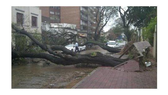 tormenta archivo