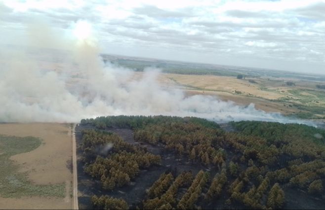 Incendio-Treinta-y-Tres-forestal-foto-Bomberos.jpg