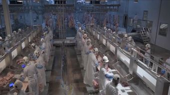 sebastian da silva alerta por ?un monopolio de hecho? que pone en riesgo la industria de la carne