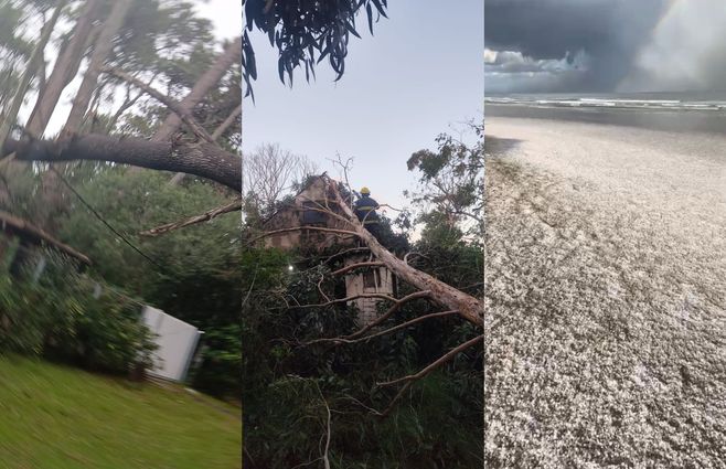 arboles-caidos-y-granizo