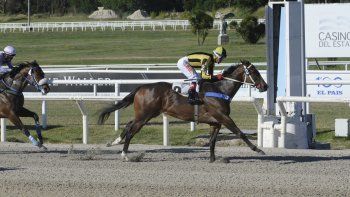 Subrayado | MICRO TURF 17 D DIC