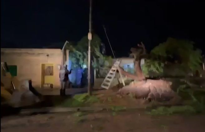 arbol-caido-casa-temporal-cerro-largo.jpg