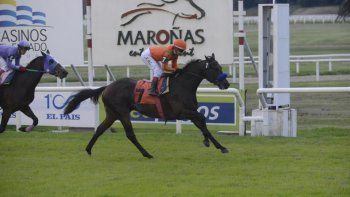 Subrayado | 12 MICRO TURF 27 D MAY