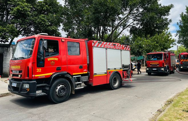 WhatsApp Image 2026-01-03 at 12.23.19